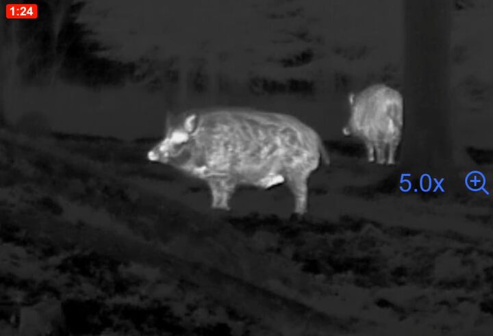 tfb review the pulsar oryx xg35 lrf thermal monocular