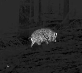 tfb review the pulsar oryx xg35 lrf thermal monocular