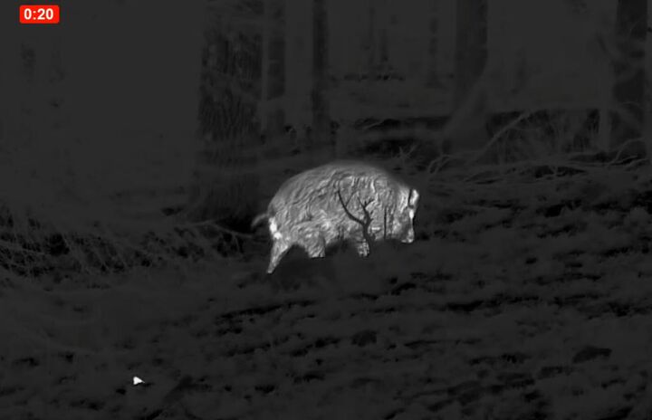 tfb review the pulsar oryx xg35 lrf thermal monocular