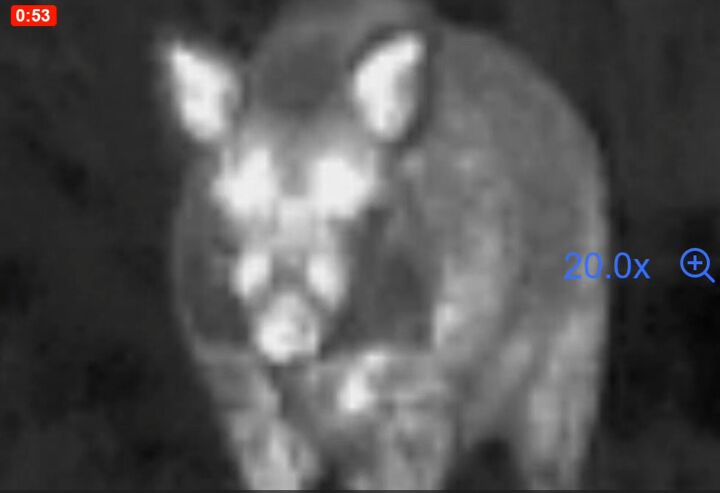 tfb review the pulsar oryx xg35 lrf thermal monocular