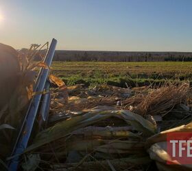 study shows americans support sport shooting but the motive matters, Americans are still strongly in favor of hunting for food Zac K