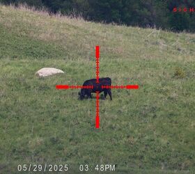 tfb review sightmark wraith 4k 4 3240
