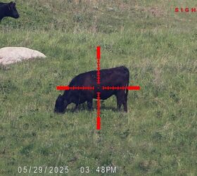 tfb review sightmark wraith 4k 4 3240