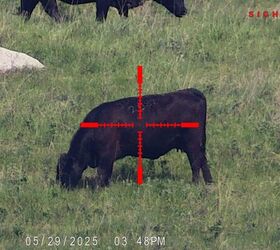 tfb review sightmark wraith 4k 4 3240