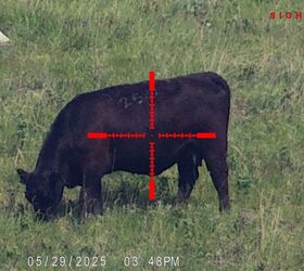tfb review sightmark wraith 4k 4 3240