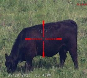 tfb review sightmark wraith 4k 4 3240