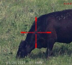 tfb review sightmark wraith 4k 4 3240