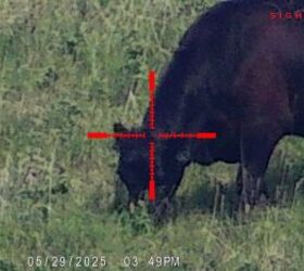 tfb review sightmark wraith 4k 4 3240