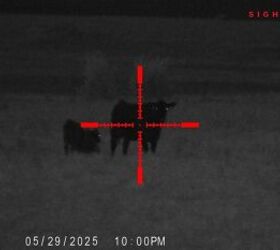 tfb review sightmark wraith 4k 4 3240