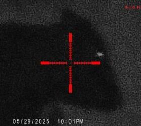 tfb review sightmark wraith 4k 4 3240
