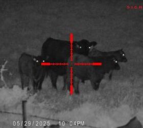 tfb review sightmark wraith 4k 4 3240