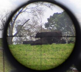 25x (No Cows were harmed in the making of this review) 