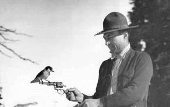 Fudd Friday: Small-Game Handgun Hunting On Any Budget