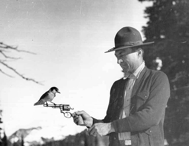 Fudd Friday: Small-Game Handgun Hunting On Any Budget