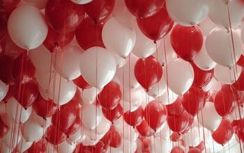 TFB at 18: What Does “Firearms Not Politics” Mean in 2025?