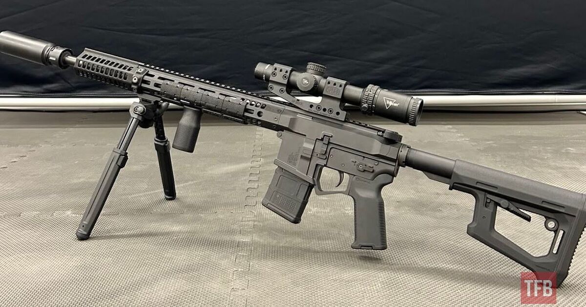 POTD: Exclusive - Steen Defense SD-1 SPR (Special Purpose Rifle ...