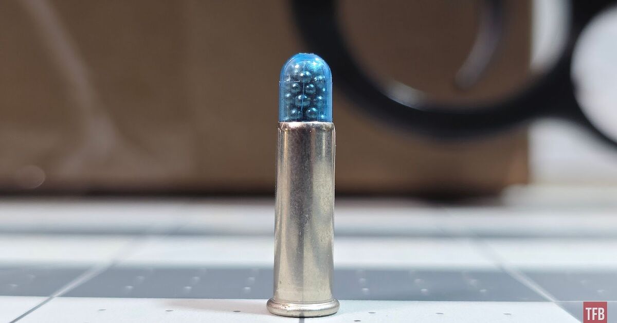 The Rimfire Report: An Examination of CCI 22 Shot Shell (Rat Shot ...