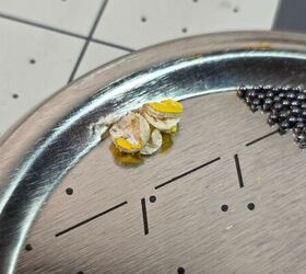 the rimfire report an examination of cci 22 shot shell rat shot