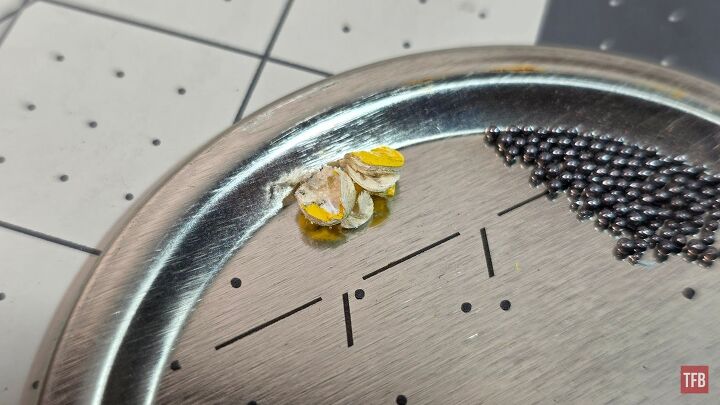 The Rimfire Report: An Examination of CCI 22 Shot Shell (Rat Shot ...