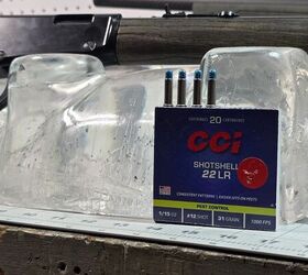 The Rimfire Report: CCI 22 Shot Shell In Clear Ballistics Gel