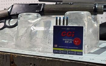 The Rimfire Report: CCI 22 Shot Shell In Clear Ballistics Gel