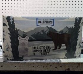 the rimfire report cci 22 shot shell in clear ballistics gel