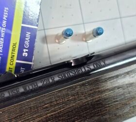 the rimfire report cci 22 shot shell in clear ballistics gel
