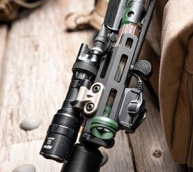 potd the sp5 woodlander