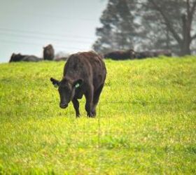 Note the Retical in the image above. This was taken using the 30X80 MRAD eyepiece