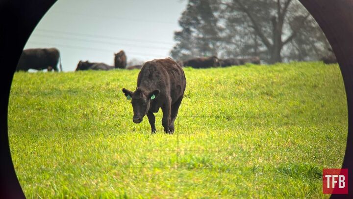 Note the Retical in the image above. This was taken using the 30X80 MRAD eyepiece