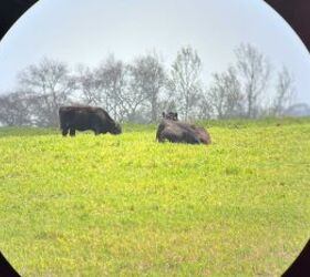 tfb review maven optics s1 2s 25 50x80 spotting scope