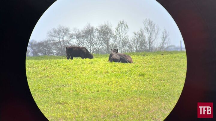 tfb review maven optics s1 2s 25 50x80 spotting scope