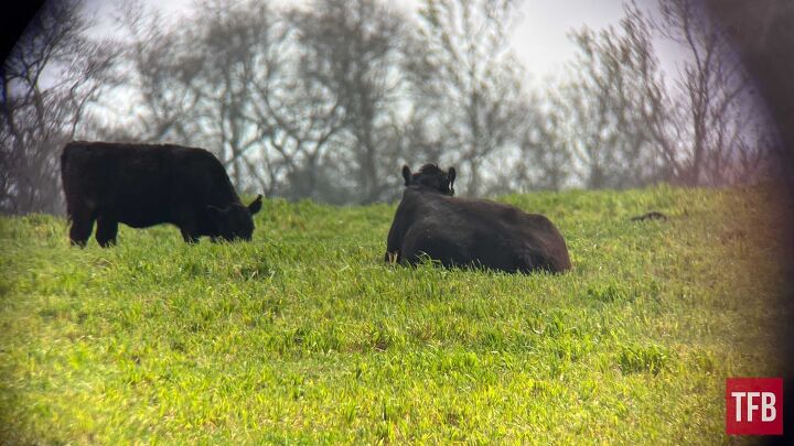 tfb review maven optics s1 2s 25 50x80 spotting scope