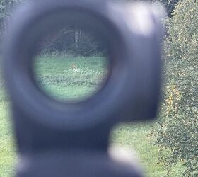 potd the aimpoint duty rds mr multi reticle red dot