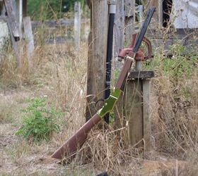 the rimfire report the henry golden boy 22lr rifle