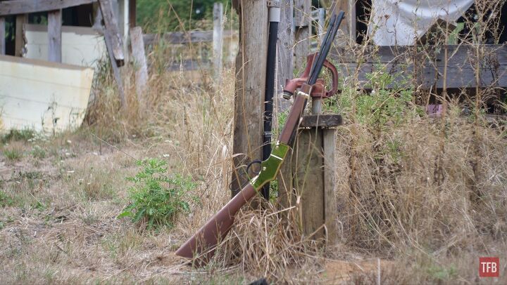 the rimfire report the henry golden boy 22lr rifle