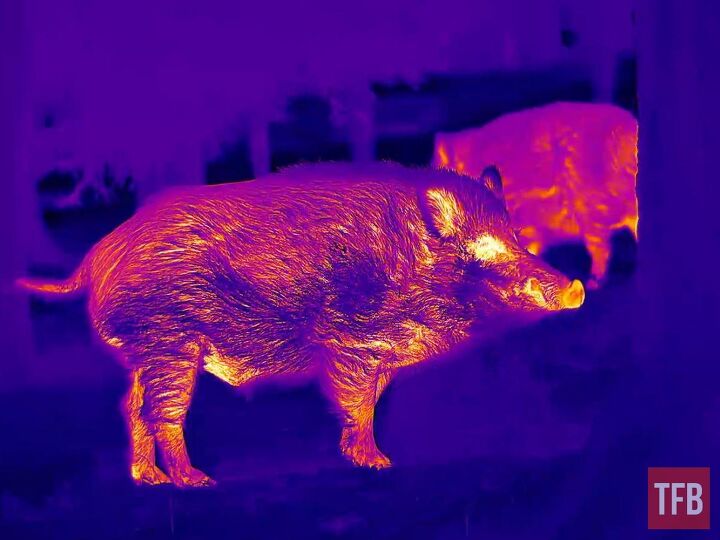 At close range, like danger close, you get serious image quality that in no way would be possible with any 640x sensor. I’m sorry I chose one of the more bizarre color options.