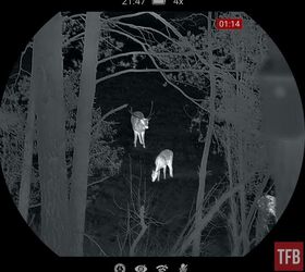 best thermal rifle scope
