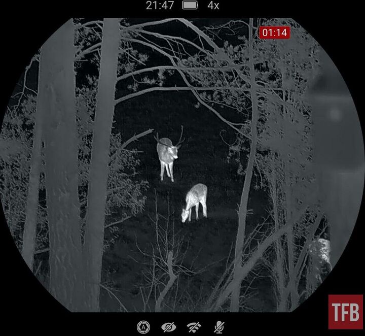best thermal rifle scope
