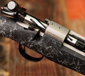 new davidson s exclusive bergara b 14 fsp hunter stainless