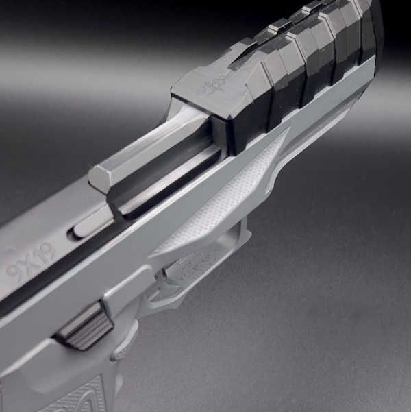 the quest for the low bore axis rideout arsenal dragon from the usa, View of the barrel bolt carrier and bolt within the frame notice the thumb rest gas pedal available on both sides