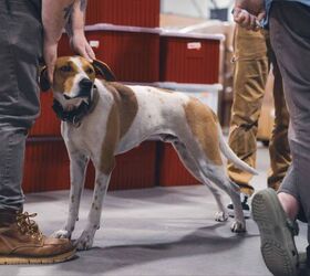 Q’s employee of the month