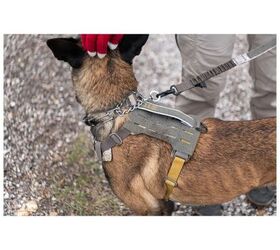 tfb weekly web deals 159 deals for october 13th 2025