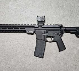 The Best Cheap AR-15
