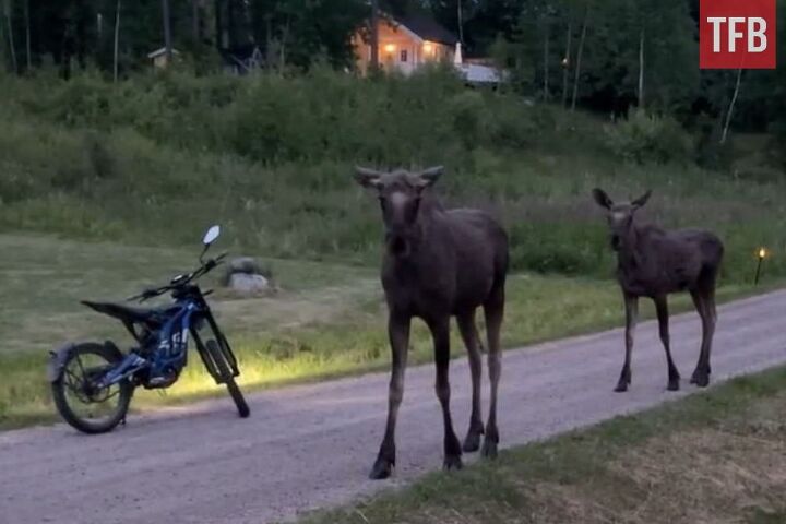 sweden softens stance on ar 15 mandatory confiscation now voluntary