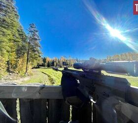 sweden softens stance on ar 15 mandatory confiscation now voluntary