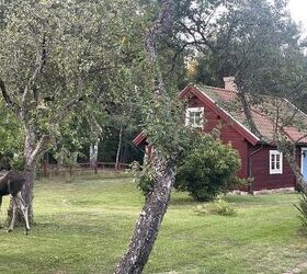 sweden softens stance on ar 15 mandatory confiscation now voluntary