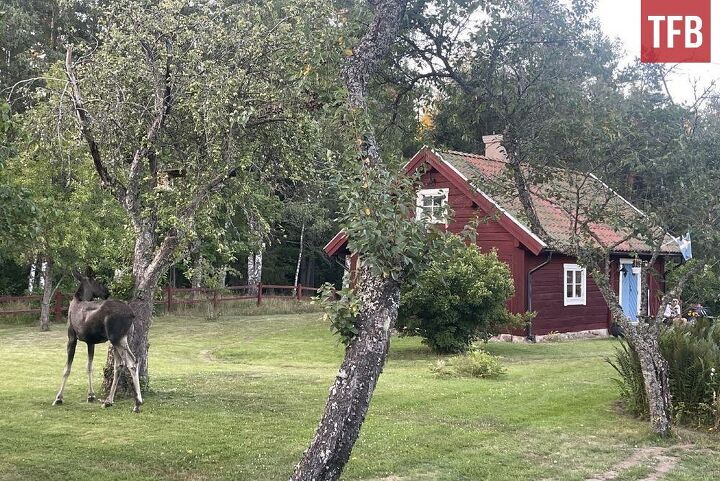 sweden softens stance on ar 15 mandatory confiscation now voluntary