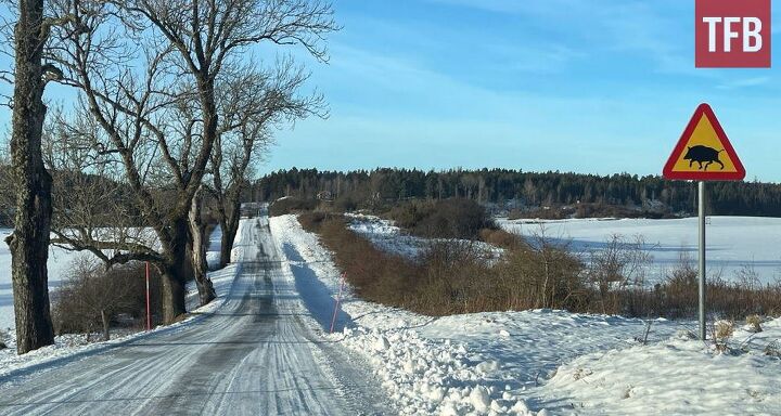 sweden softens stance on ar 15 mandatory confiscation now voluntary