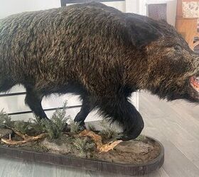 sweden softens stance on ar 15 mandatory confiscation now voluntary